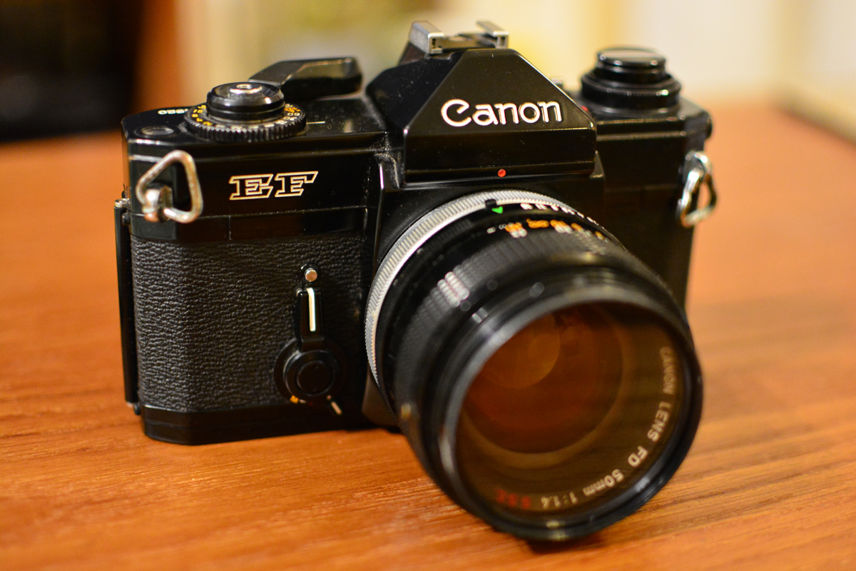 フィルムカメラ「Canon EF」の使い方や特徴をレビュー【作例有り】 - ひゃくやっつ