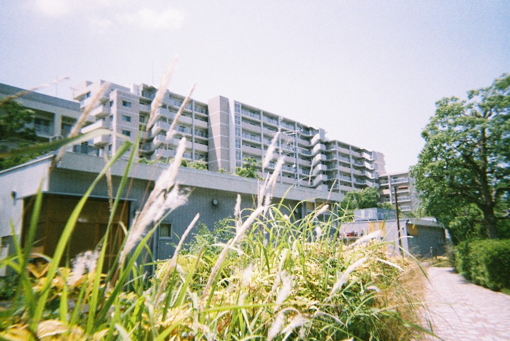 フィルム「LomoChrome Color ISO400」で撮影 02