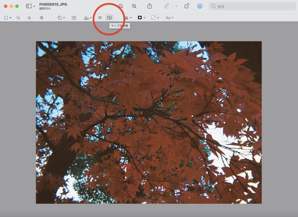 マークアップツールバーから「サイズを調整」を選択します。
