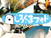 「しろくまフォト」でデータから写真プリントの特徴と感想