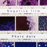 ネガフィルム用スキャンアプリ「FilmBox」で自宅で写真データ化