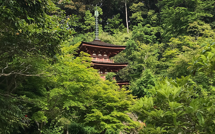 京都のおすすめ風景撮影スポット：岩船寺